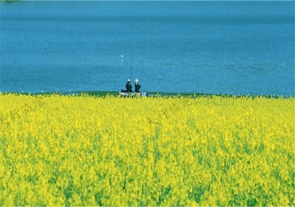 臨滄鳳慶5日自駕之旅