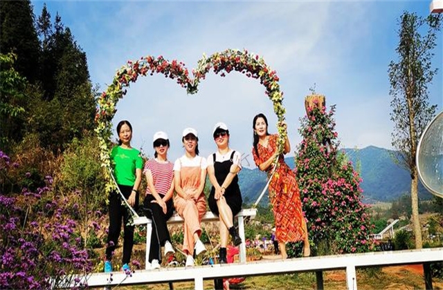 大美云南---美麗臨滄山川秀麗花開如畫花落成殤臨滄花海歡迎您