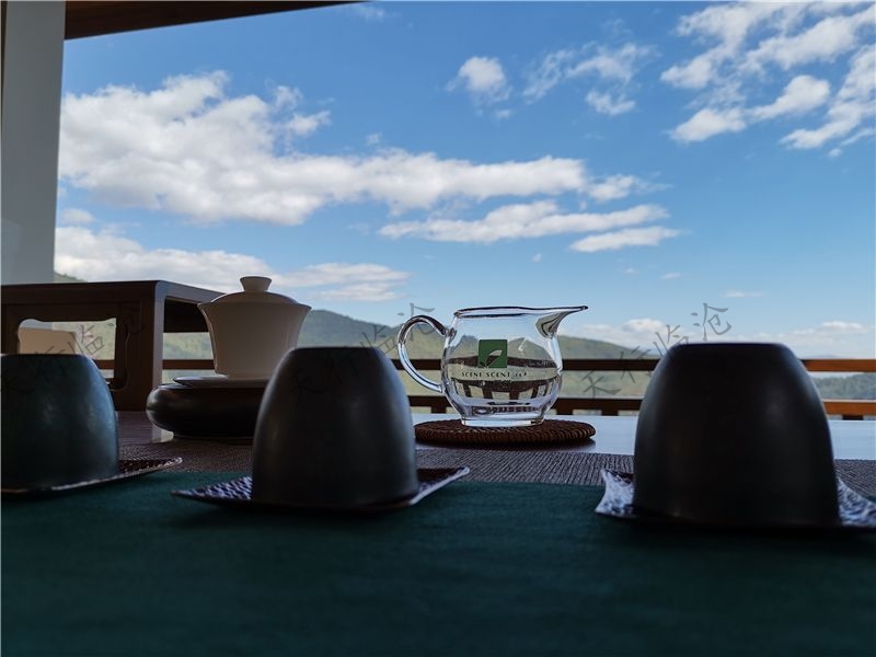 臨滄雙江云頂筑巢茶莊園