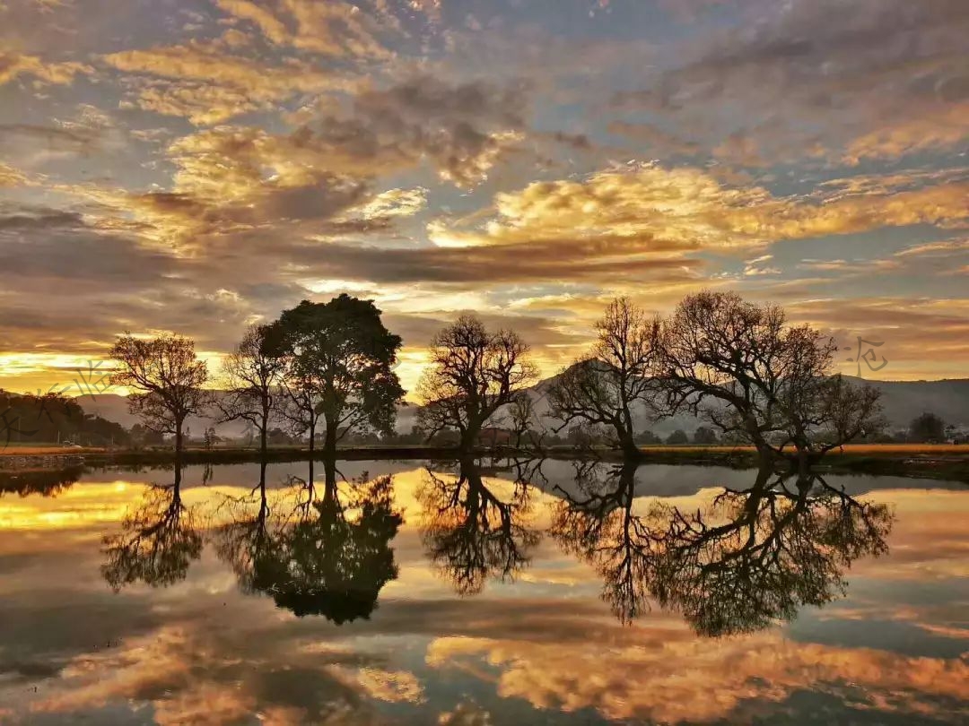 臨滄研學(xué)旅行