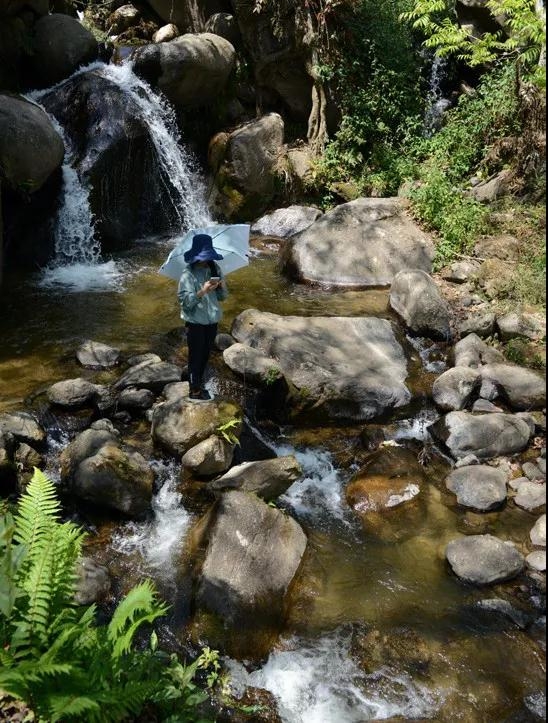 云縣漫灣鎮(zhèn)白鶯山村熊家自然村