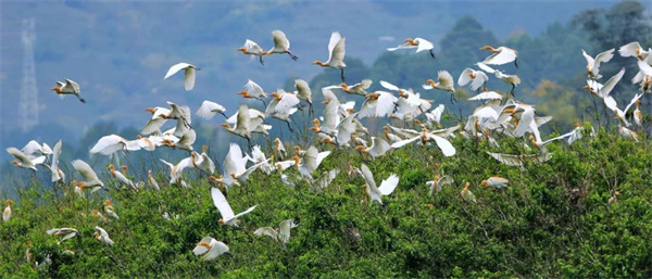 臨滄，許你恬逸生活