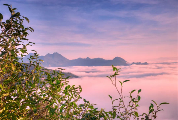 云南人游臨滄│五一自駕出游，遇見茶尊臨滄