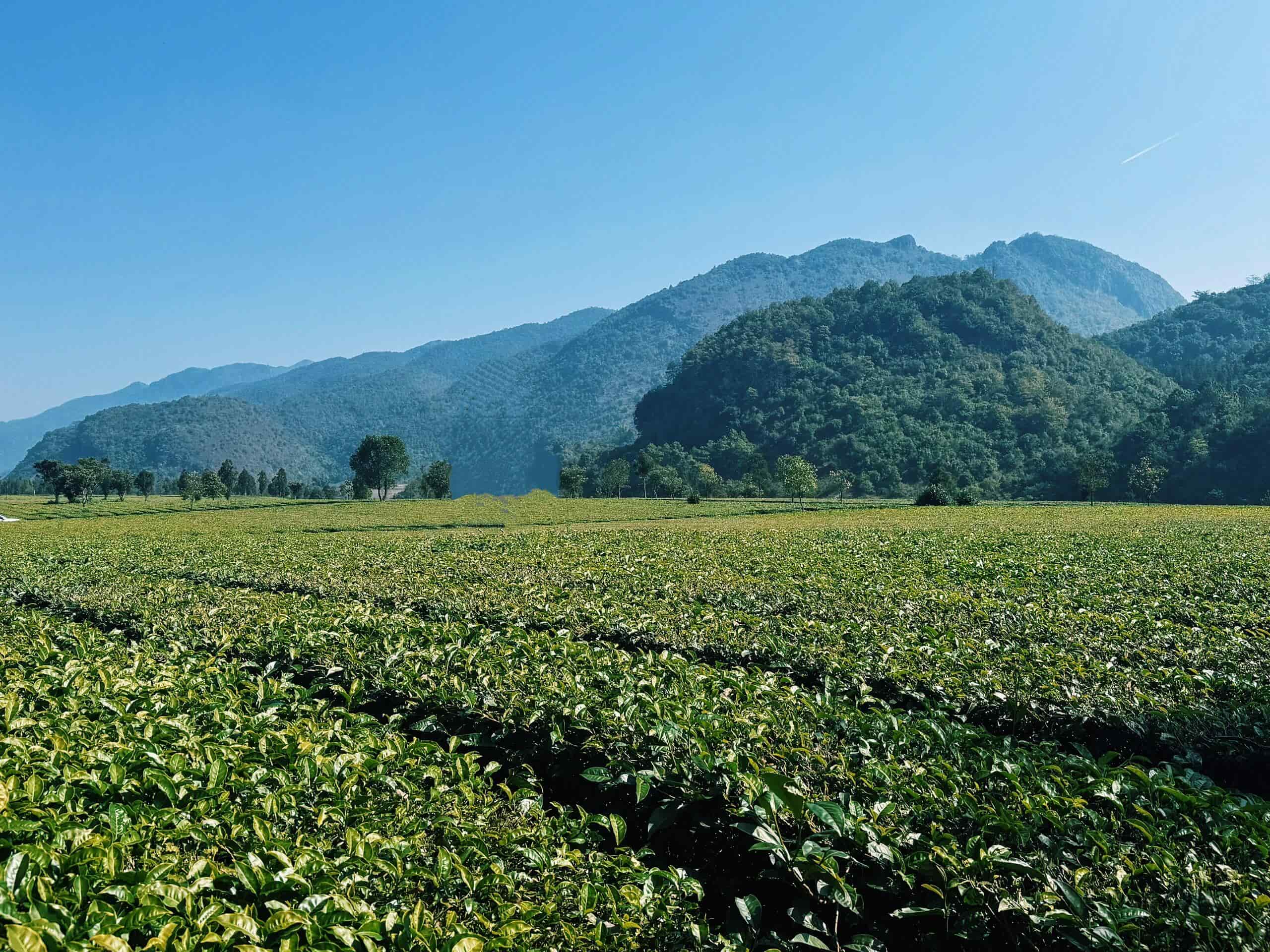 云南團(tuán)建公司,云南會(huì)議公司,云南策劃公司,臨滄旅游：滇西秘境·山水藏珍味，煙火映風(fēng)情