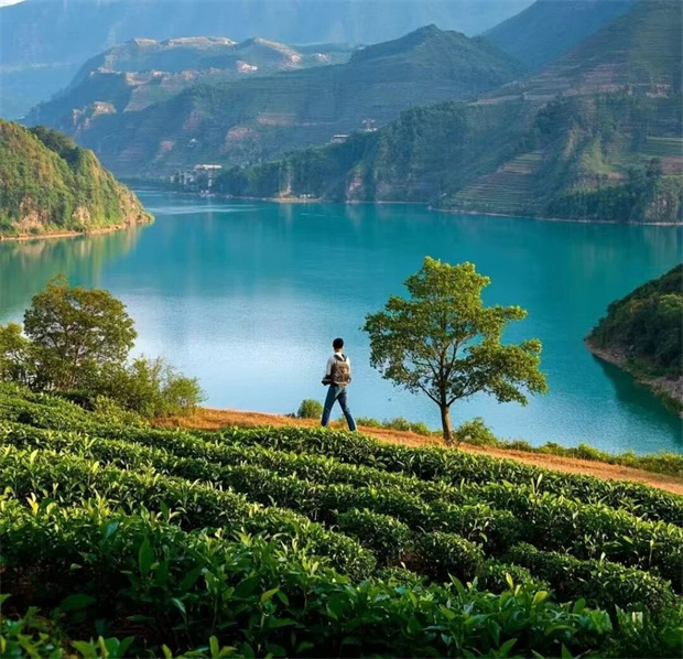 云南旅游,云南旅行社,云南團(tuán)建公司,云南策劃公司,云南會(huì)議會(huì)展,臨滄旅游,臨滄旅行社,臨滄團(tuán)建公司,臨滄策劃公司：當(dāng)北方進(jìn)入寒冬，春天在哪里？---在云南臨滄